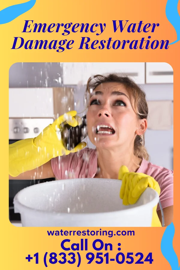 Emergency Water Damage Restoration in Cañones, NM