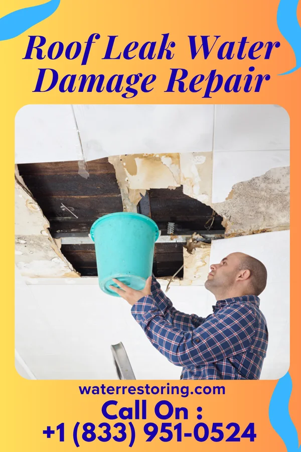 Roof Leak Water Damage Repair in Cañones, NM